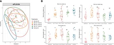 Meta-omics integration approach reveals the effect of soil native microbiome diversity in the performance of inoculant Azospirillum brasilense